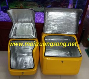 Thùng ship hàng sau xe