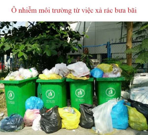 Rác thải và môi trường - Môi trường sống